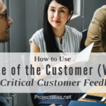 How to Use Voice of the Customer (VOC) for Critical Customer Feedback - Here's how to use Voice of the Customer techniques (VOC) to find out exactly what's important to your customer for valuable project insight. - https://projectbliss.net/voice-of-the-customer-voc/